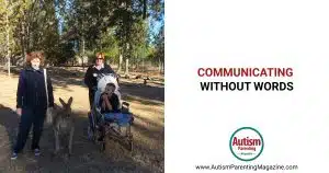 Communicating without Words