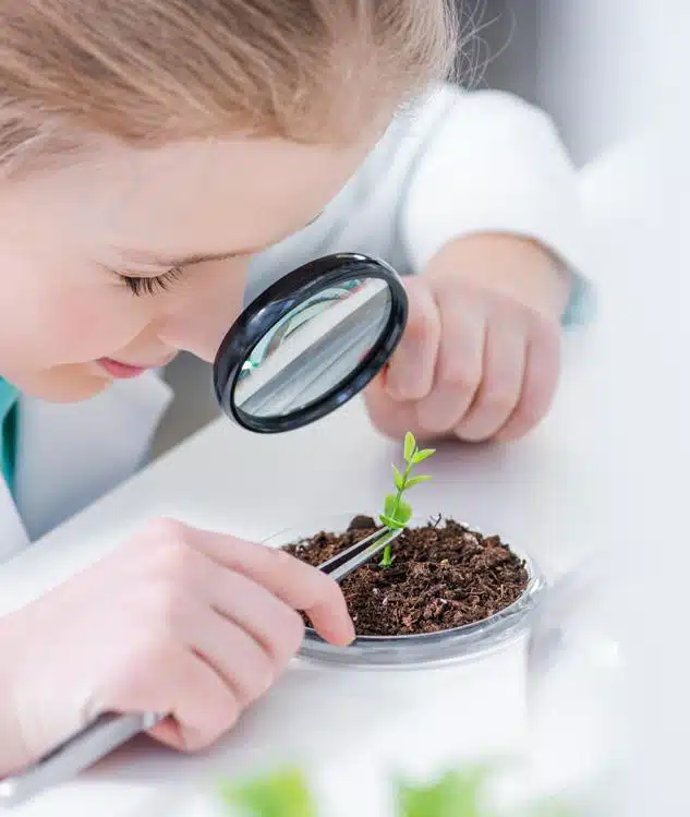 Why Parents Should Feed Children’s Special Interests
